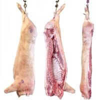 Pig Carcass